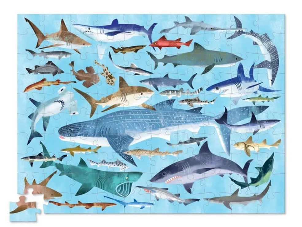 Crocodile Creek Puzzels Puzzle 36 Haifische 100 Teile 5 Jahre+
