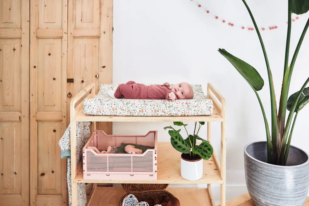 Jollein Rassel Mond Rosa