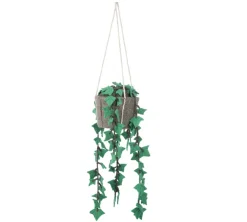KidsDepot Hängepflanze Hedera Felix Felt