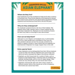 Mudpuppy Puzzle Asiatischer Elefant 300 Teile 7 Jahre+