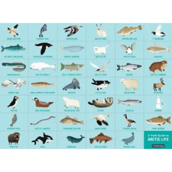 Mudpuppy Puzzle Suchen & Finden Arctic Life 64 Teile