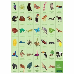 Mudpuppy Puzzle Suchen & Finden Dschungel 64 st.