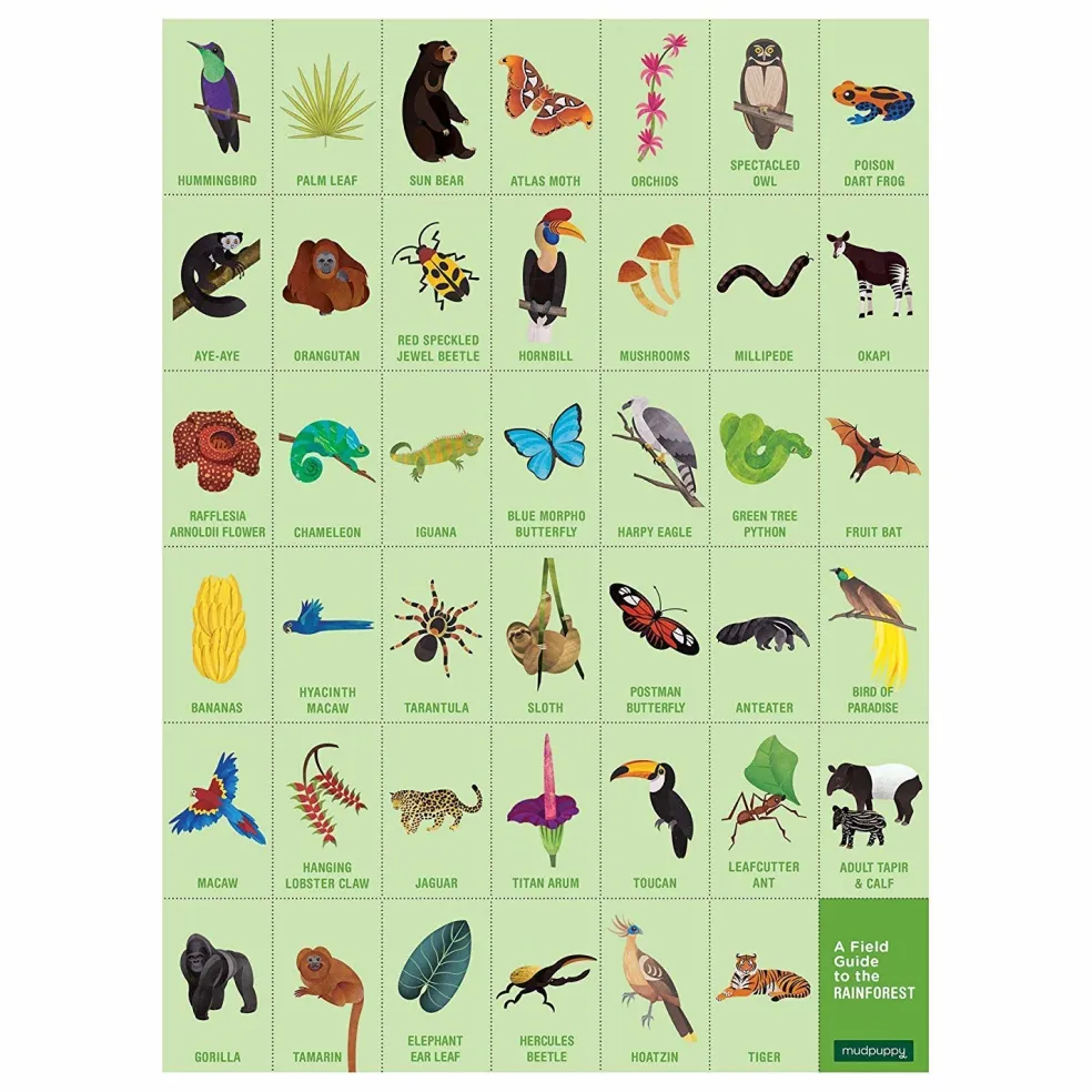 Mudpuppy Puzzle Suchen & Finden Dschungel 64 st.