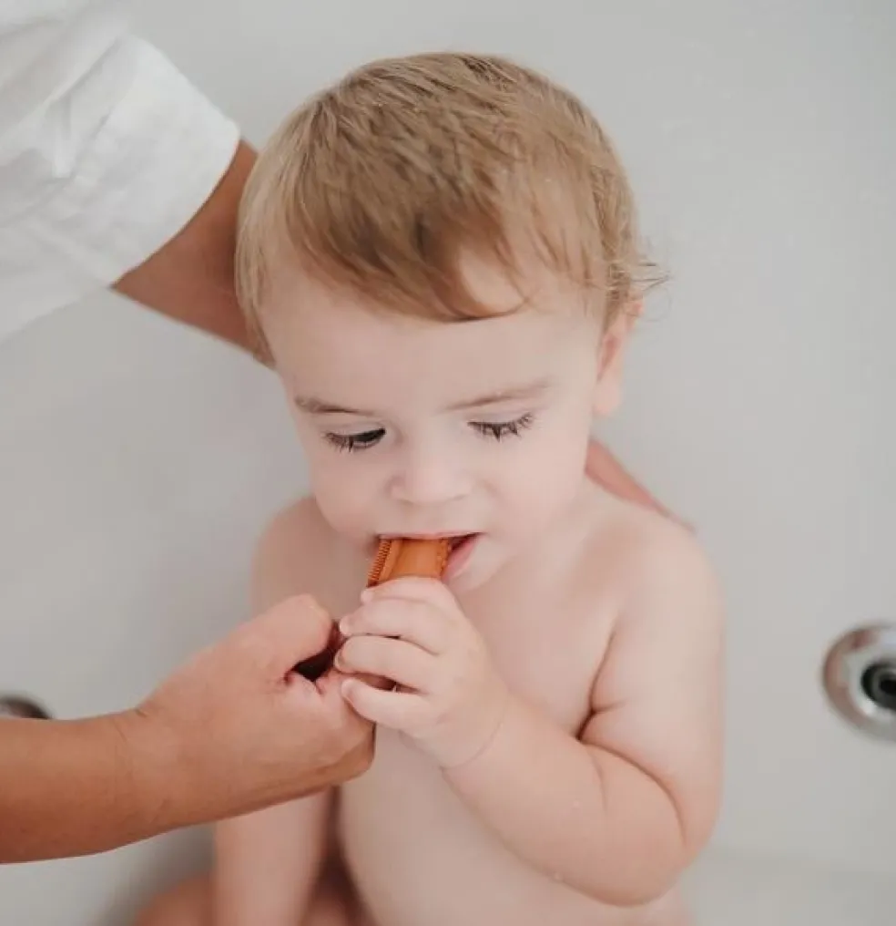 Mushie Baby Zahnbürste Blush Clay