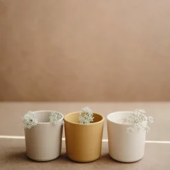 Mushie Becher Ivory 2-Teilig