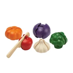 PlanToys Gemüse Spielset 5 Farbe 3431
