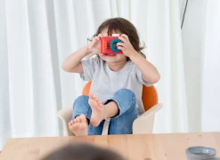 PlanToys Kamera Holz 5633