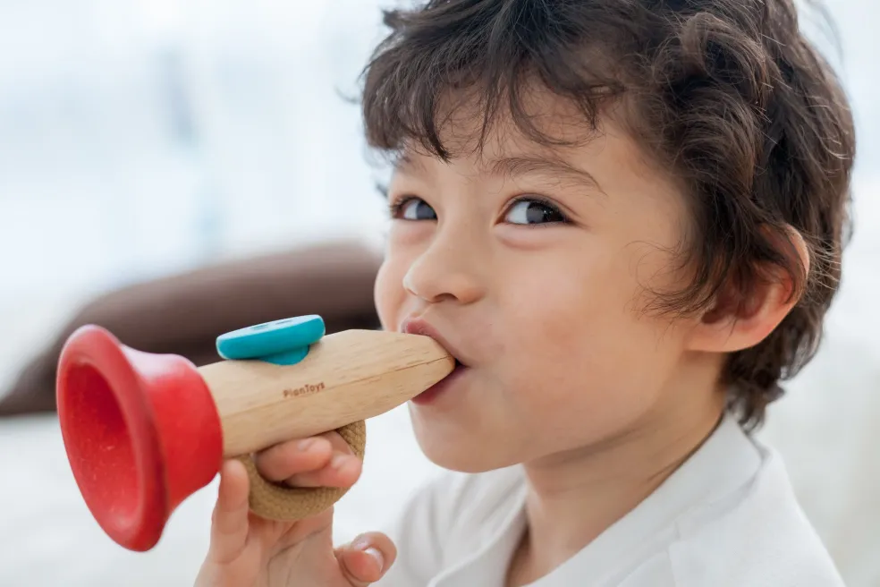 PlanToys Kazoo Holz 6437