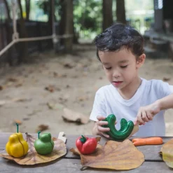 PlanToys Wonky Obst & Gemüse 3495