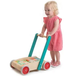 Tender Leaf Toys Lauflernwagen Bauklötze Holz
