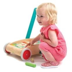 Tender Leaf Toys Lauflernwagen Bauklötze Holz