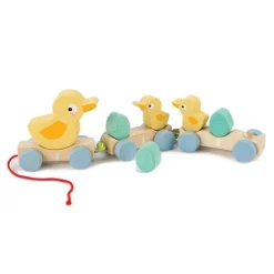 Tender Leaf Toys Nachziehtiere Enten Holz